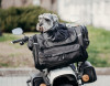 Deemeed Pet Bag Cordura Small Transporttasche für Hunde oder Katzen Motorradtasche Hundetasche