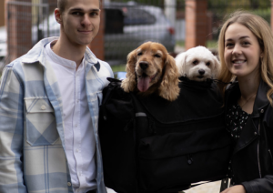 Deemeed Pet Bag M Cordura Medium DOUBLE für 2 Hunde Transporttasche für mittelgroße Hunde Motorradtasche Hundetasche