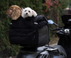Deemeed Pet Bag M Cordura Medium DOUBLE für 2 Hunde Transporttasche für mittelgroße Hunde Motorradtasche Hundetasche
