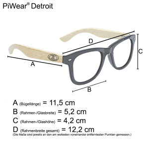 PiWear® Detroit 24DCL Photochromatic Sonnenbrille - Motorradbrille