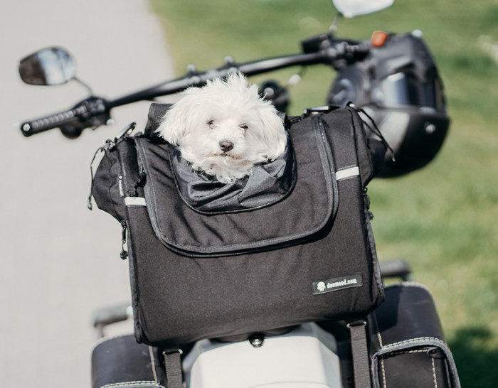 Deemeed Pet Bag Cordura X-Small Transporttasche für Hunde oder Katzen