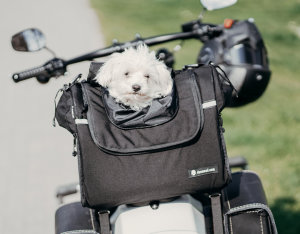 Deemeed Pet Bag Cordura X-Small Transporttasche für Hunde...