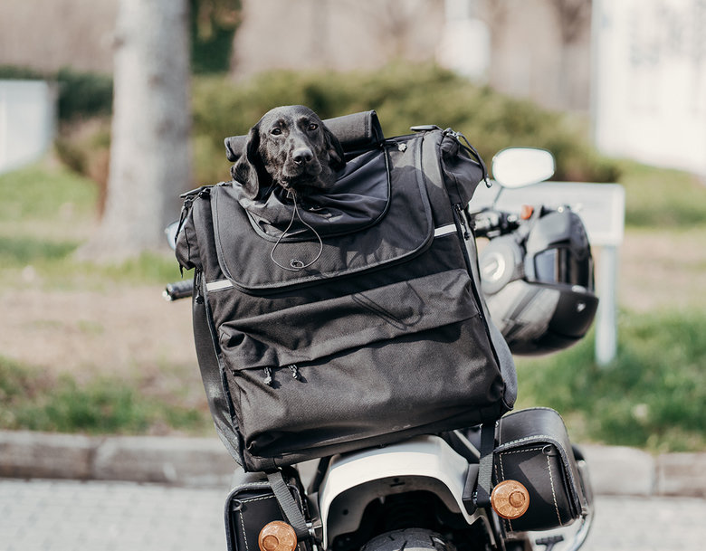 Deemeed Pet Bag Cordura Large Transporttasche für große Hunde Motorra